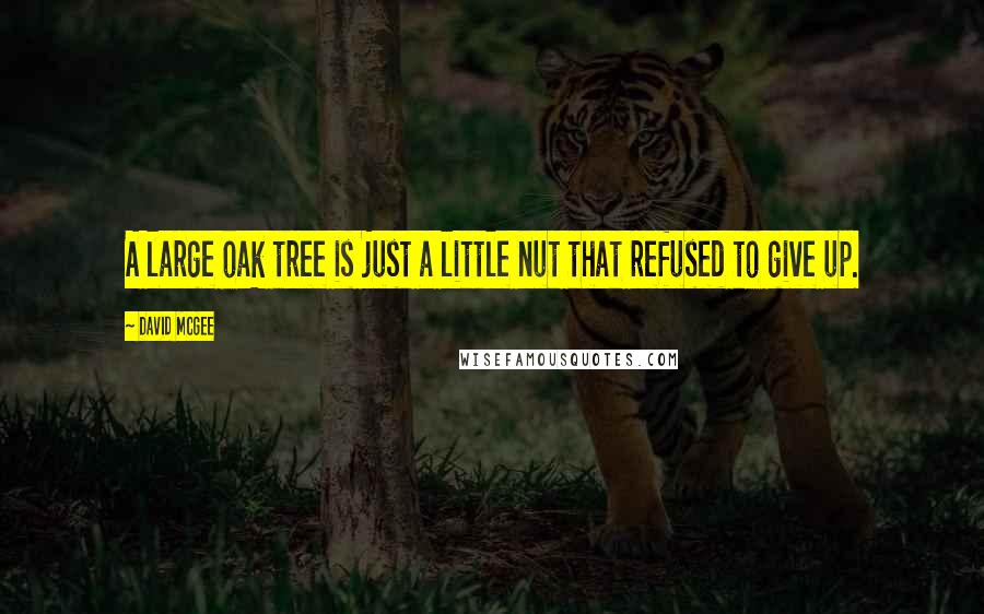 David McGee Quotes: A large oak tree is just a little nut that refused to give up.