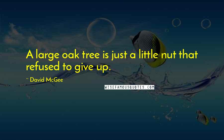 David McGee Quotes: A large oak tree is just a little nut that refused to give up.