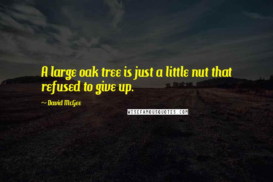 David McGee Quotes: A large oak tree is just a little nut that refused to give up.