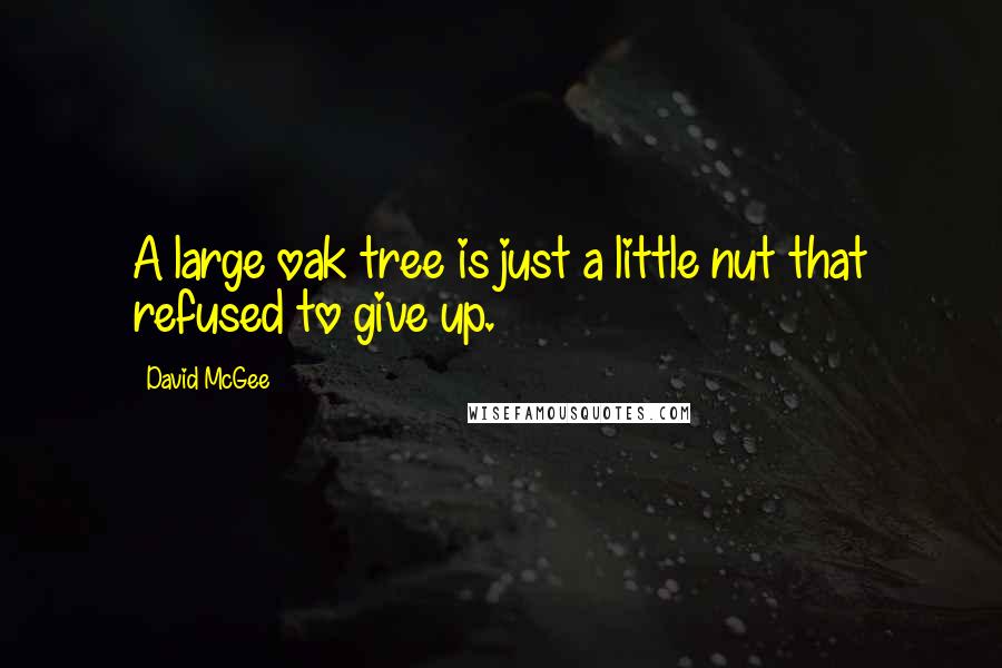 David McGee Quotes: A large oak tree is just a little nut that refused to give up.