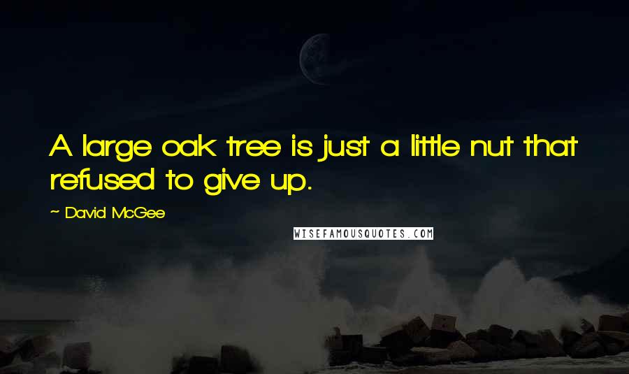 David McGee Quotes: A large oak tree is just a little nut that refused to give up.