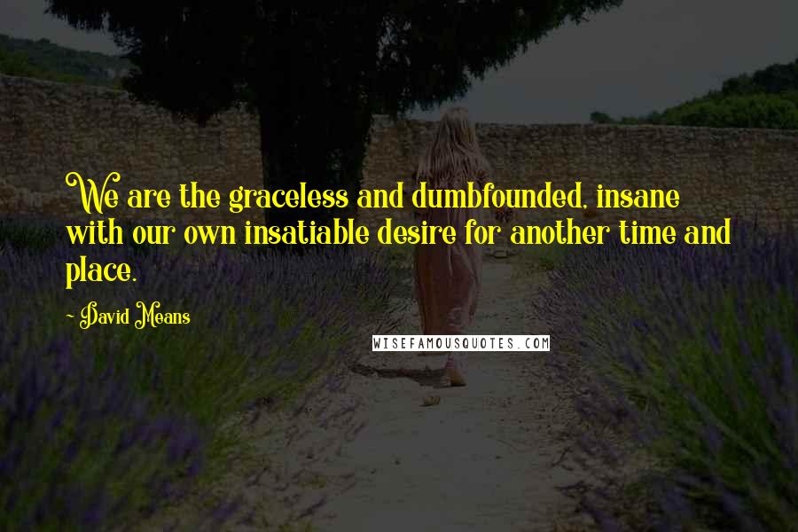 David Means Quotes: We are the graceless and dumbfounded, insane with our own insatiable desire for another time and place.