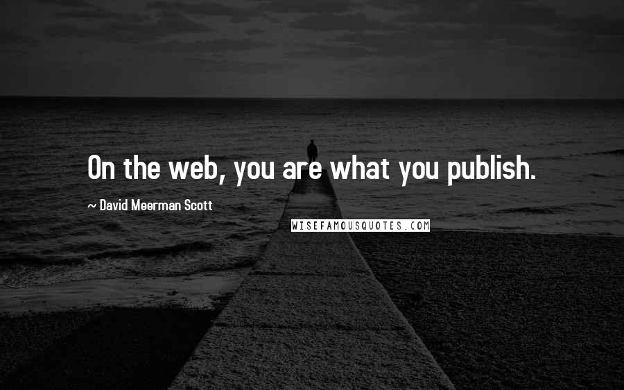 David Meerman Scott Quotes: On the web, you are what you publish.