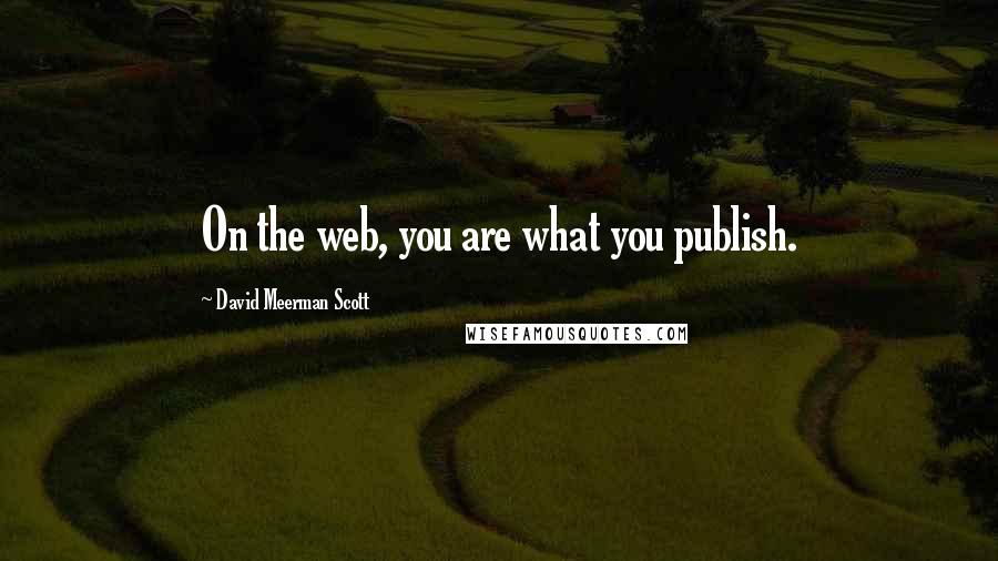 David Meerman Scott Quotes: On the web, you are what you publish.