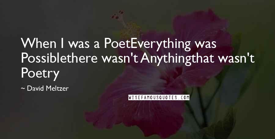 David Meltzer Quotes: When I was a PoetEverything was Possiblethere wasn't Anythingthat wasn't Poetry