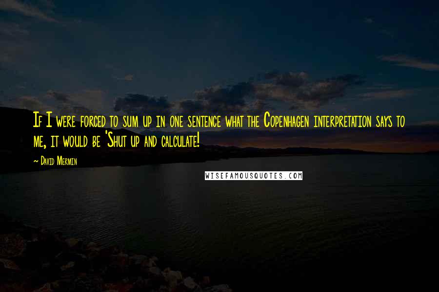 David Mermin Quotes: If I were forced to sum up in one sentence what the Copenhagen interpretation says to me, it would be 'Shut up and calculate!
