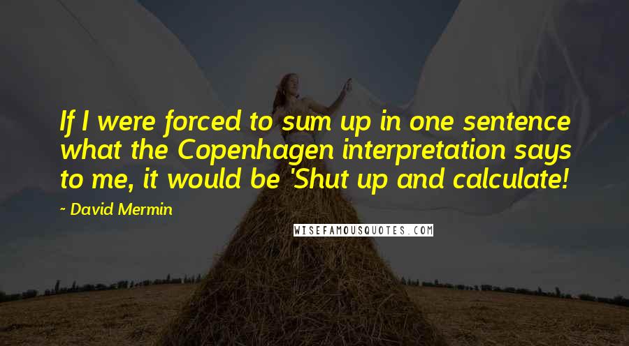 David Mermin Quotes: If I were forced to sum up in one sentence what the Copenhagen interpretation says to me, it would be 'Shut up and calculate!