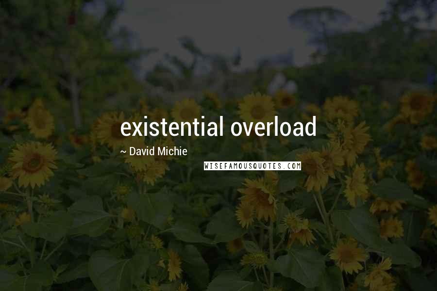 David Michie Quotes: existential overload