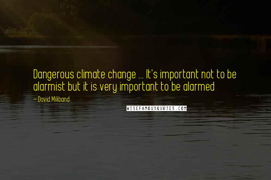 David Miliband Quotes: Dangerous climate change ... It's important not to be alarmist but it is very important to be alarmed