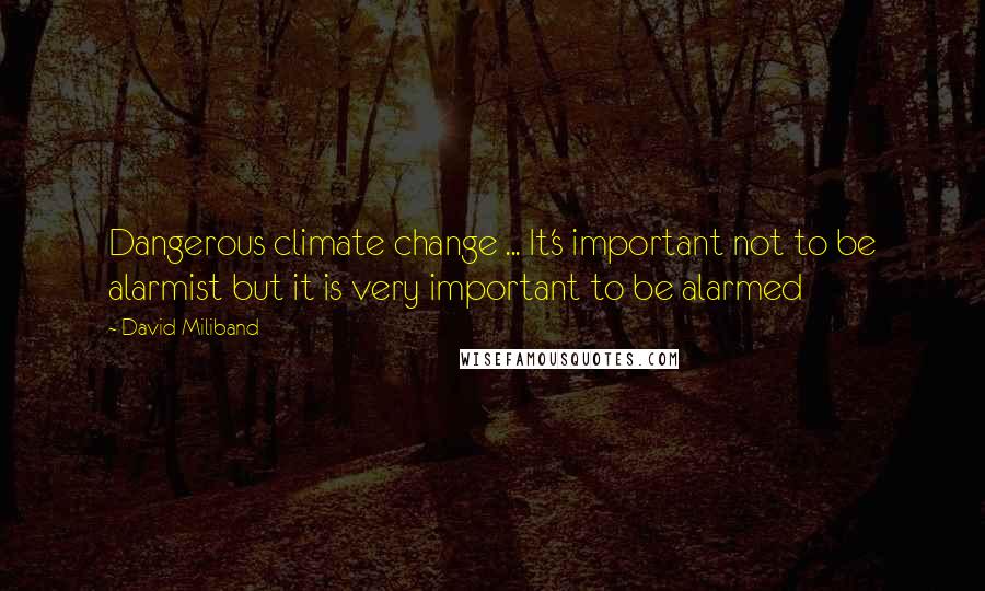 David Miliband Quotes: Dangerous climate change ... It's important not to be alarmist but it is very important to be alarmed