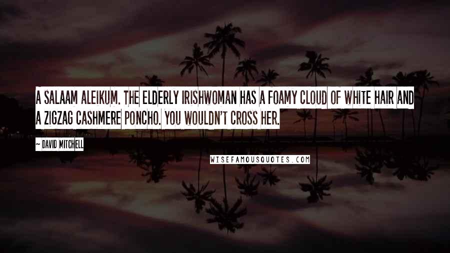 David Mitchell Quotes: A salaam aleikum. The elderly Irishwoman has a foamy cloud of white hair and a zigzag cashmere poncho. You wouldn't cross her.