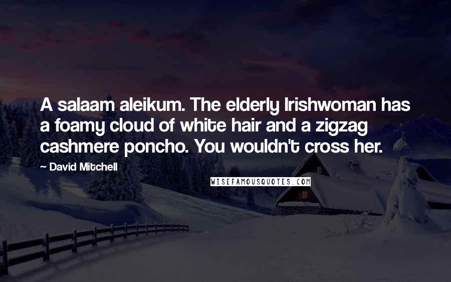 David Mitchell Quotes: A salaam aleikum. The elderly Irishwoman has a foamy cloud of white hair and a zigzag cashmere poncho. You wouldn't cross her.