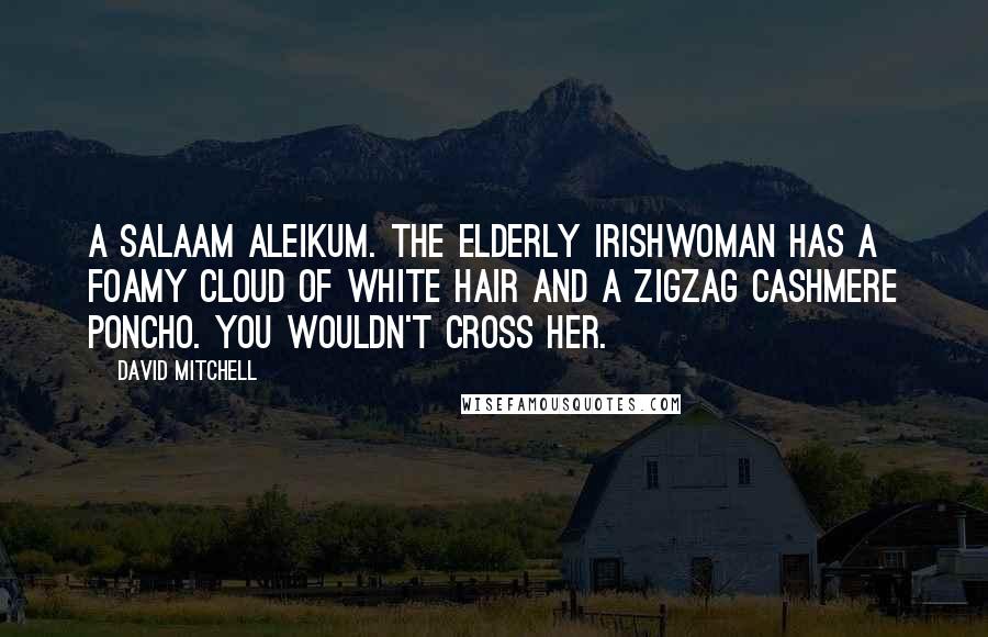 David Mitchell Quotes: A salaam aleikum. The elderly Irishwoman has a foamy cloud of white hair and a zigzag cashmere poncho. You wouldn't cross her.