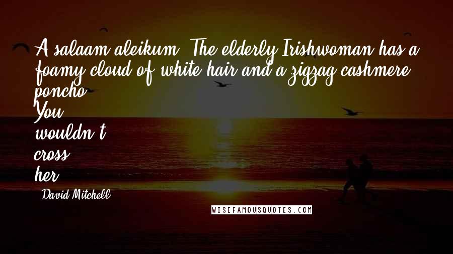 David Mitchell Quotes: A salaam aleikum. The elderly Irishwoman has a foamy cloud of white hair and a zigzag cashmere poncho. You wouldn't cross her.