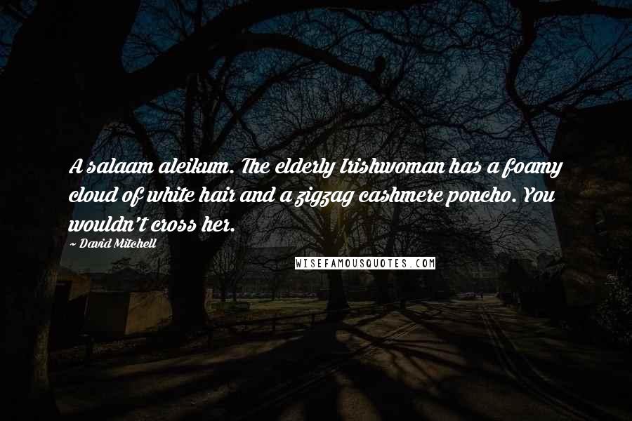 David Mitchell Quotes: A salaam aleikum. The elderly Irishwoman has a foamy cloud of white hair and a zigzag cashmere poncho. You wouldn't cross her.