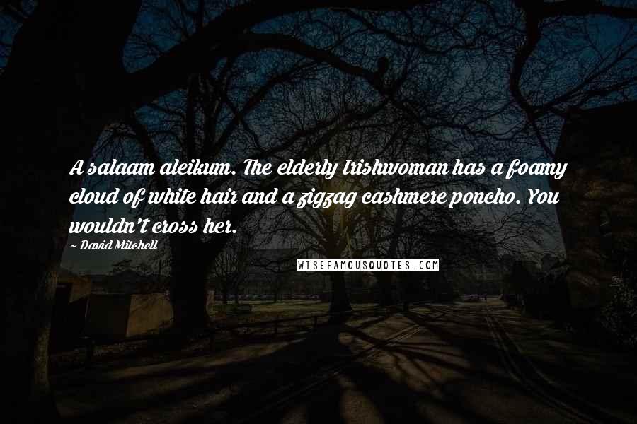 David Mitchell Quotes: A salaam aleikum. The elderly Irishwoman has a foamy cloud of white hair and a zigzag cashmere poncho. You wouldn't cross her.