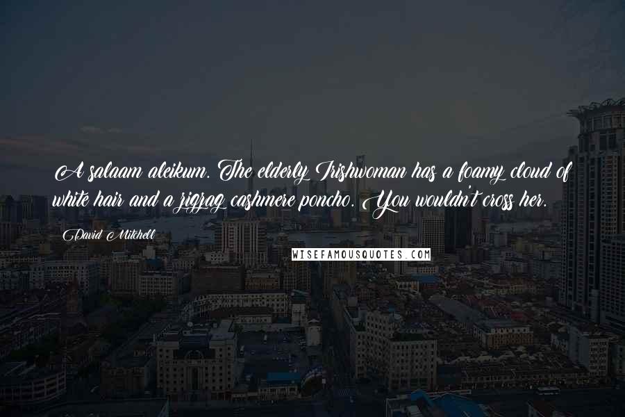 David Mitchell Quotes: A salaam aleikum. The elderly Irishwoman has a foamy cloud of white hair and a zigzag cashmere poncho. You wouldn't cross her.