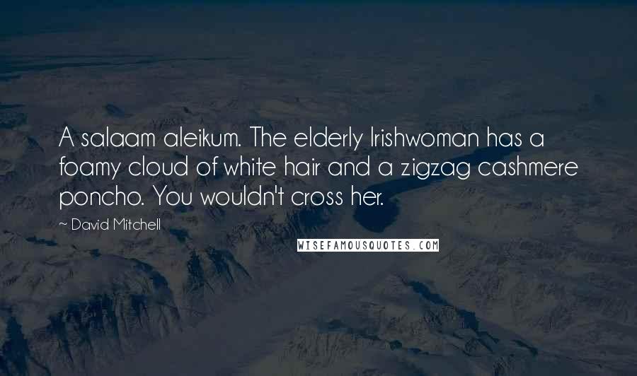 David Mitchell Quotes: A salaam aleikum. The elderly Irishwoman has a foamy cloud of white hair and a zigzag cashmere poncho. You wouldn't cross her.