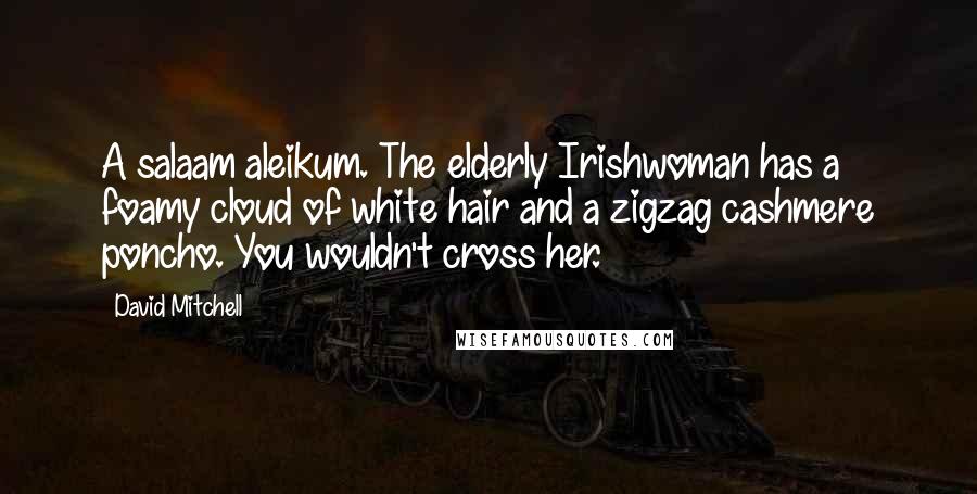 David Mitchell Quotes: A salaam aleikum. The elderly Irishwoman has a foamy cloud of white hair and a zigzag cashmere poncho. You wouldn't cross her.