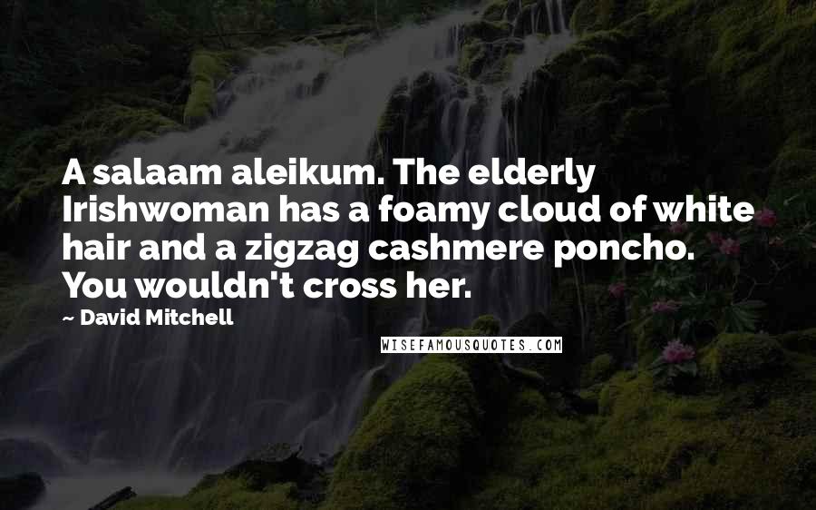 David Mitchell Quotes: A salaam aleikum. The elderly Irishwoman has a foamy cloud of white hair and a zigzag cashmere poncho. You wouldn't cross her.