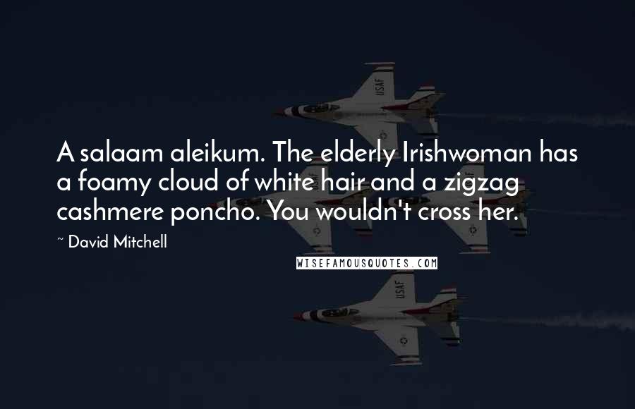 David Mitchell Quotes: A salaam aleikum. The elderly Irishwoman has a foamy cloud of white hair and a zigzag cashmere poncho. You wouldn't cross her.