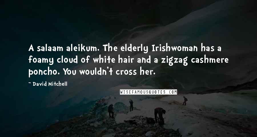 David Mitchell Quotes: A salaam aleikum. The elderly Irishwoman has a foamy cloud of white hair and a zigzag cashmere poncho. You wouldn't cross her.