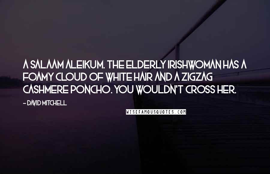 David Mitchell Quotes: A salaam aleikum. The elderly Irishwoman has a foamy cloud of white hair and a zigzag cashmere poncho. You wouldn't cross her.