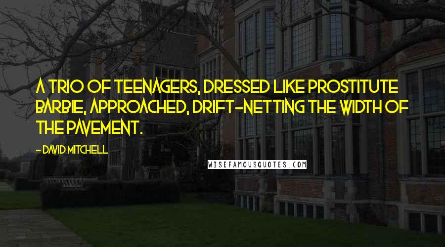 David Mitchell Quotes: A trio of teenagers, dressed like Prostitute Barbie, approached, drift-netting the width of the pavement.