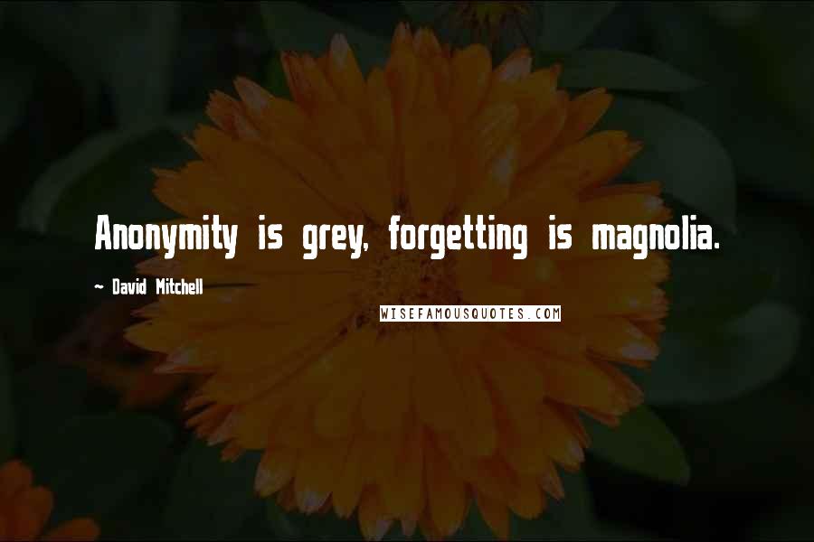 David Mitchell Quotes: Anonymity is grey, forgetting is magnolia.