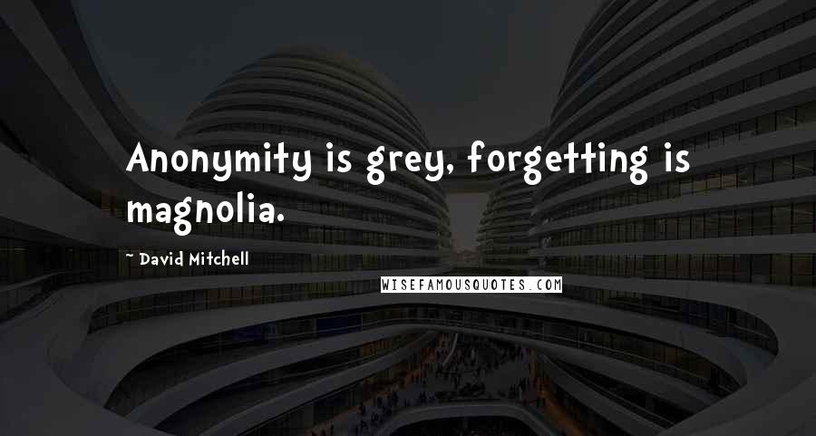 David Mitchell Quotes: Anonymity is grey, forgetting is magnolia.