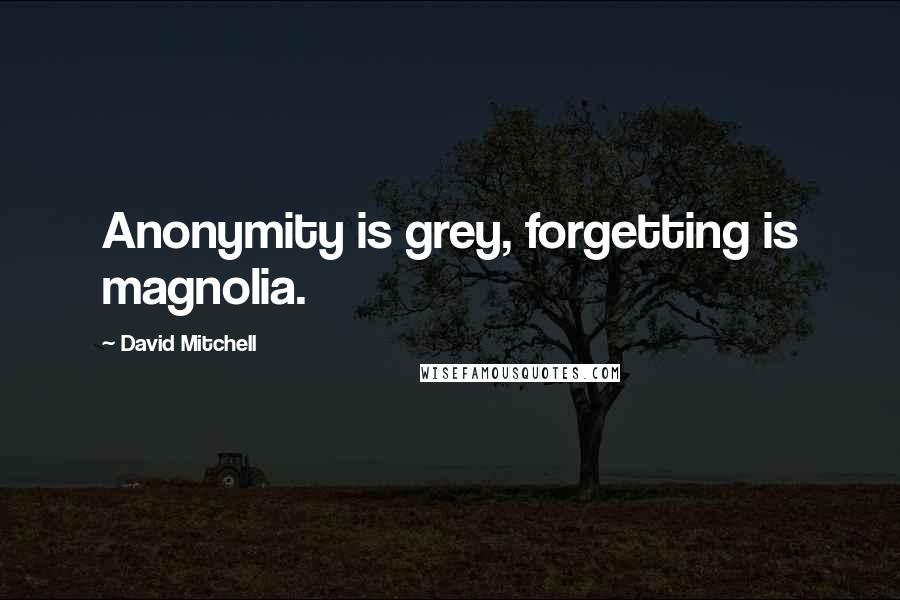 David Mitchell Quotes: Anonymity is grey, forgetting is magnolia.
