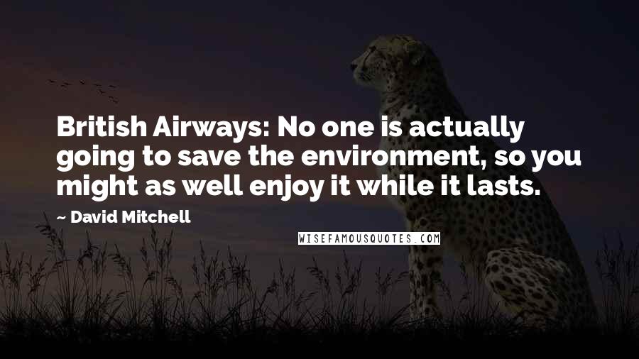 David Mitchell Quotes: British Airways: No one is actually going to save the environment, so you might as well enjoy it while it lasts.