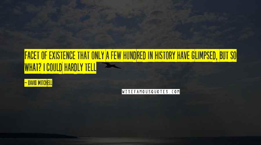 David Mitchell Quotes: Facet of existence that only a few hundred in history have glimpsed, but so what? I could hardly tell