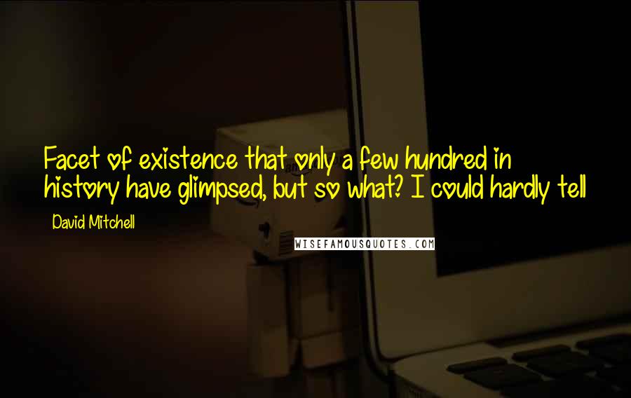 David Mitchell Quotes: Facet of existence that only a few hundred in history have glimpsed, but so what? I could hardly tell