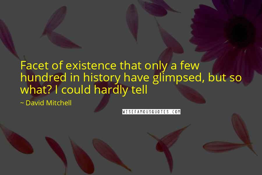 David Mitchell Quotes: Facet of existence that only a few hundred in history have glimpsed, but so what? I could hardly tell