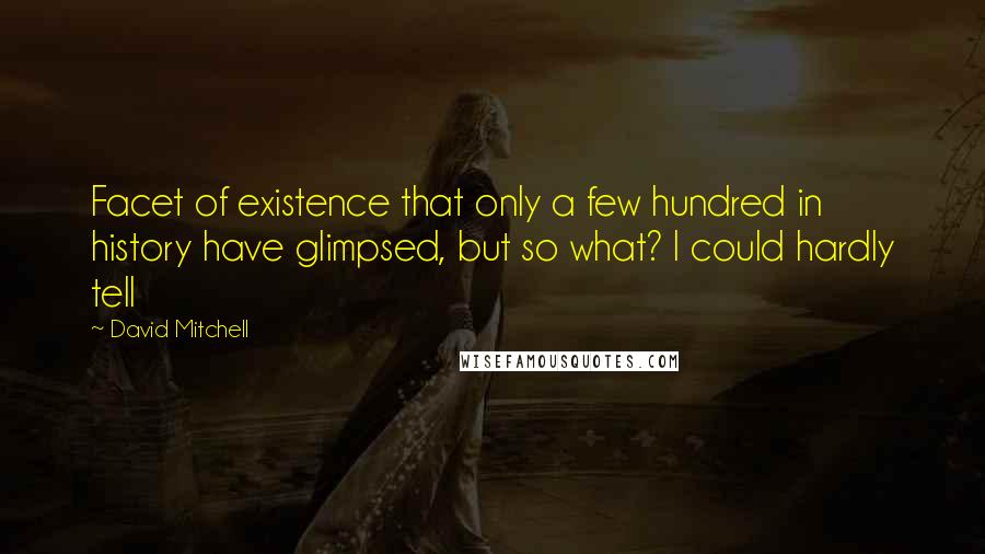 David Mitchell Quotes: Facet of existence that only a few hundred in history have glimpsed, but so what? I could hardly tell