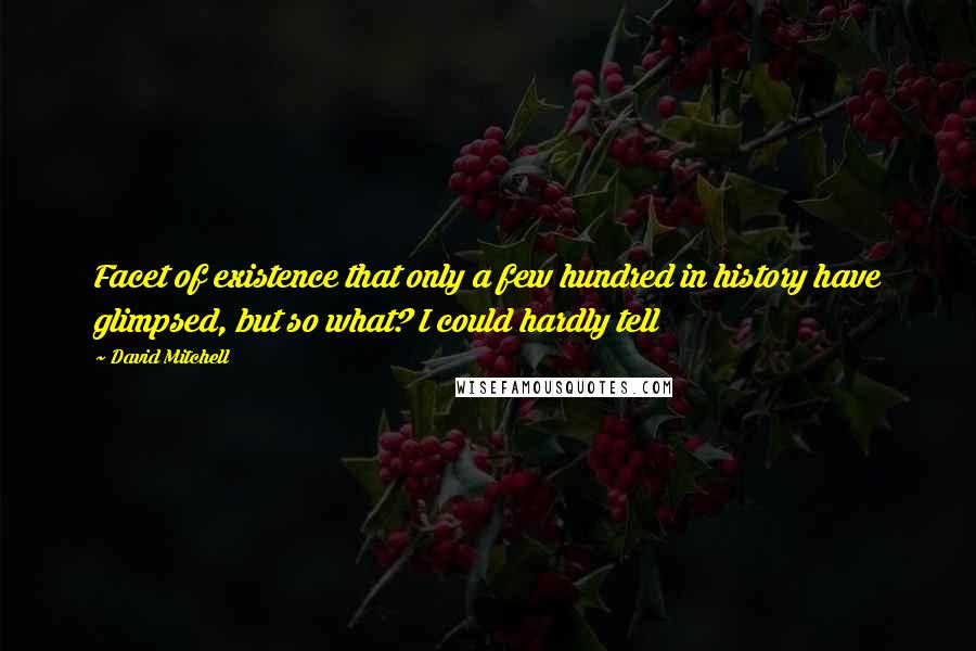 David Mitchell Quotes: Facet of existence that only a few hundred in history have glimpsed, but so what? I could hardly tell