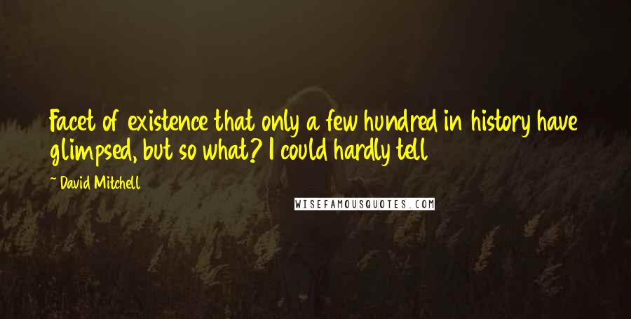 David Mitchell Quotes: Facet of existence that only a few hundred in history have glimpsed, but so what? I could hardly tell