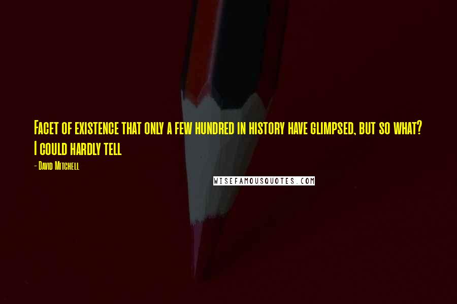 David Mitchell Quotes: Facet of existence that only a few hundred in history have glimpsed, but so what? I could hardly tell