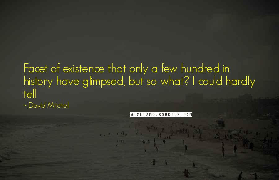 David Mitchell Quotes: Facet of existence that only a few hundred in history have glimpsed, but so what? I could hardly tell