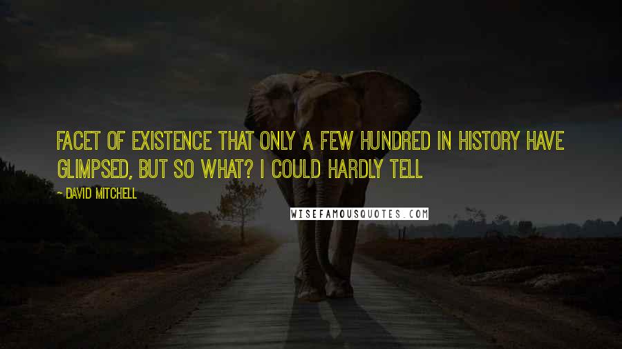 David Mitchell Quotes: Facet of existence that only a few hundred in history have glimpsed, but so what? I could hardly tell