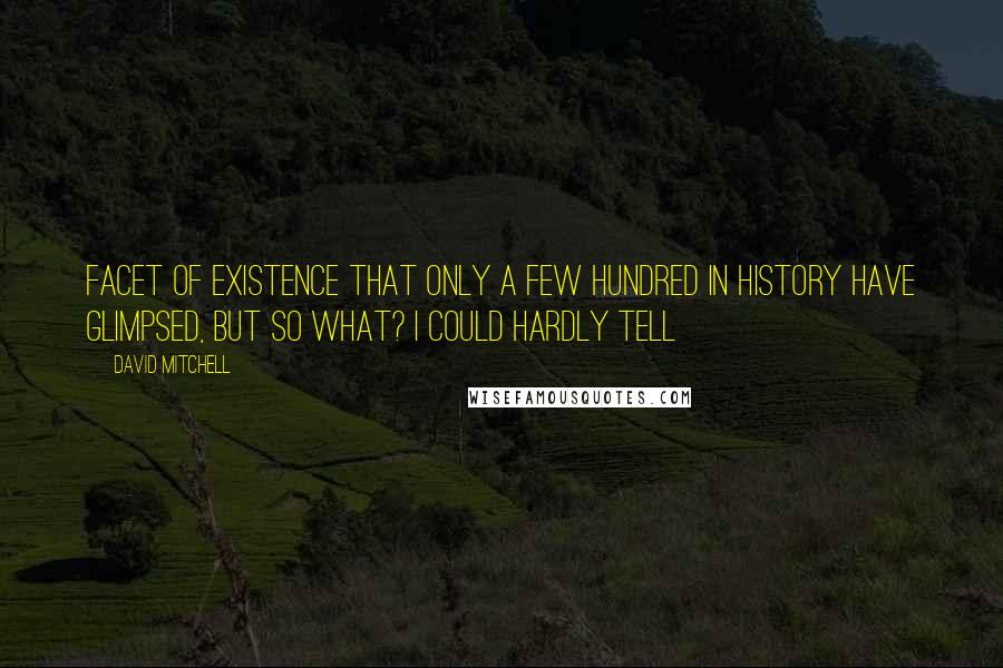 David Mitchell Quotes: Facet of existence that only a few hundred in history have glimpsed, but so what? I could hardly tell