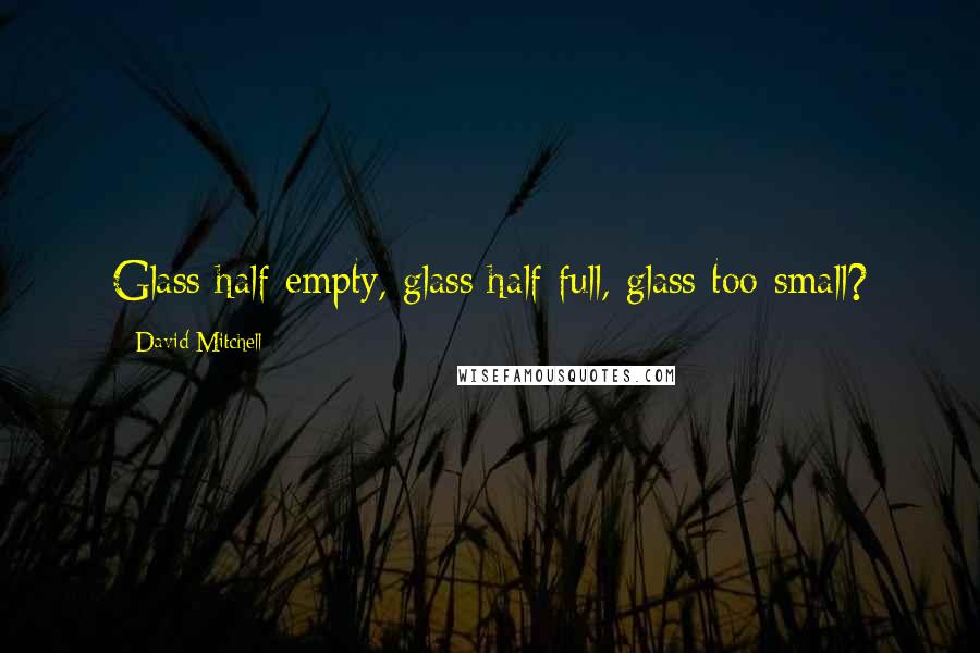 David Mitchell Quotes: Glass half empty, glass half full, glass too small?