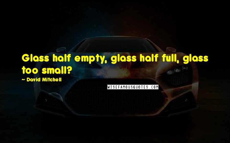 David Mitchell Quotes: Glass half empty, glass half full, glass too small?