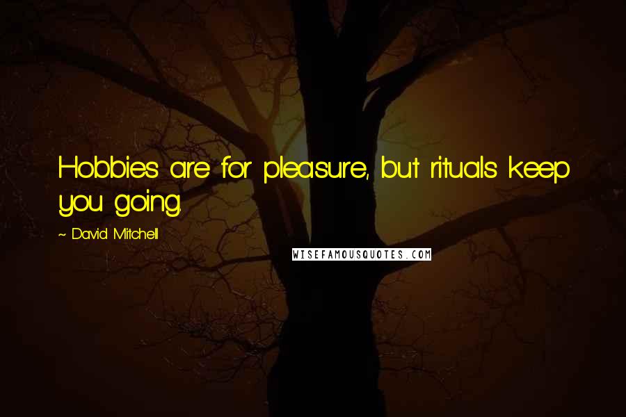 David Mitchell Quotes: Hobbies are for pleasure, but rituals keep you going.