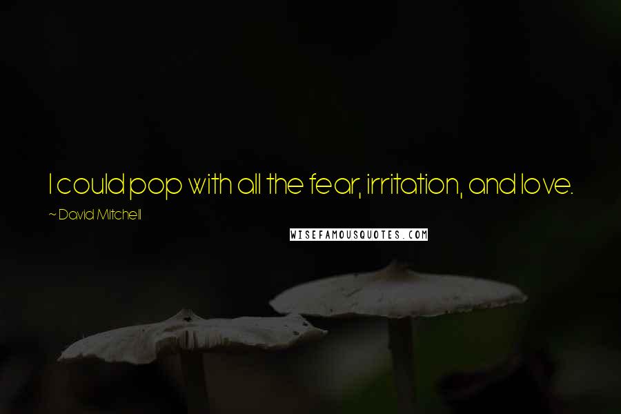 David Mitchell Quotes: I could pop with all the fear, irritation, and love.