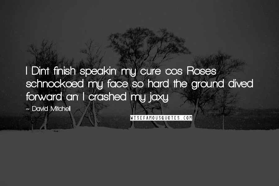 David Mitchell Quotes: I Din't finish speakin' my cure 'cos Roses schnockoed my face so hard the ground dived forward an' I crashed my jaxy.