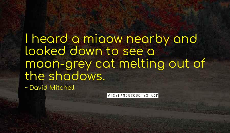 David Mitchell Quotes: I heard a miaow nearby and looked down to see a moon-grey cat melting out of the shadows.
