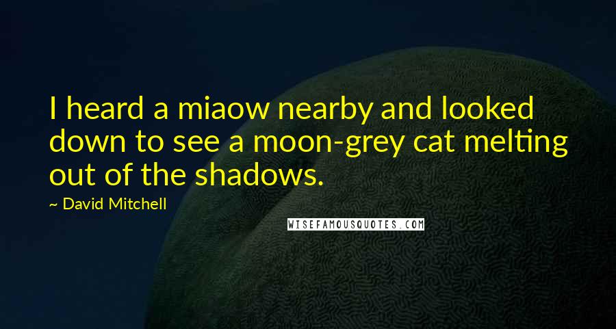 David Mitchell Quotes: I heard a miaow nearby and looked down to see a moon-grey cat melting out of the shadows.