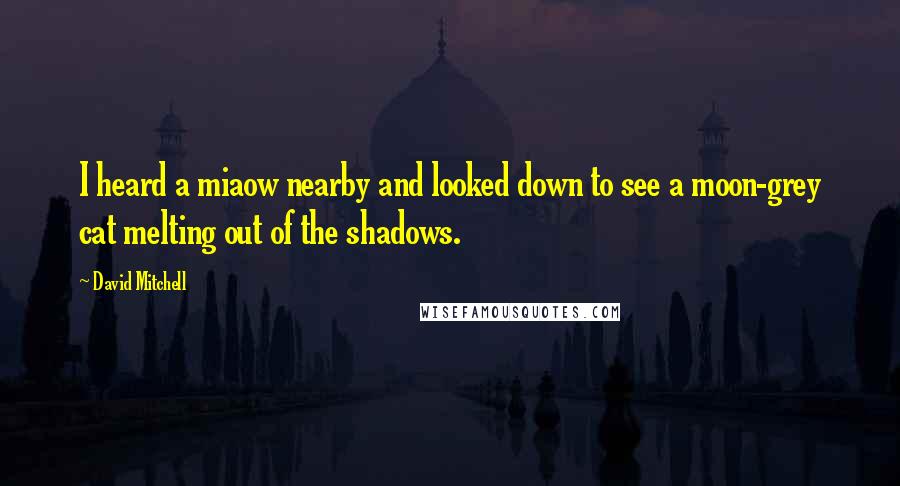 David Mitchell Quotes: I heard a miaow nearby and looked down to see a moon-grey cat melting out of the shadows.